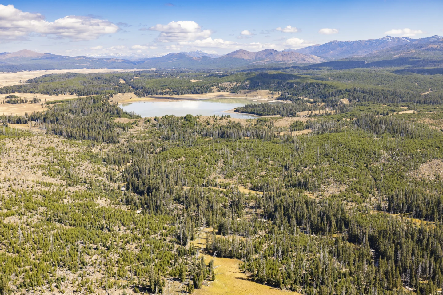 Former National Park Leaders Urge Closure During Potential Government Shutdown