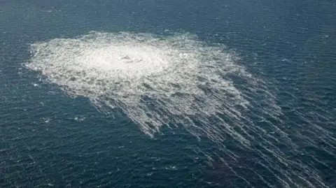 Detained Ukrainian Accuses Italy of Coercing Confession in Nord Stream Case