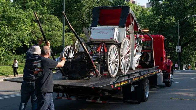 Teenage Tourist Dies in Central Park Carriage Crash, Sparking Calls to Ban Horse‑Drawn Rides