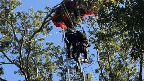 Tragic Skydiving Incident in Nashville Claims Life of Instructor