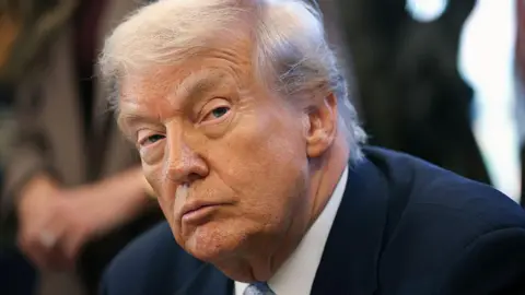 Trump Signs Bill to Release Epstein Files Amid Political Backlash