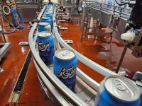 Indeed Brewing and other craft breweries fear for their future as a new federal provision threatens to ban THC-infused products, leaving the $24 billion hemp industry in turmoil.