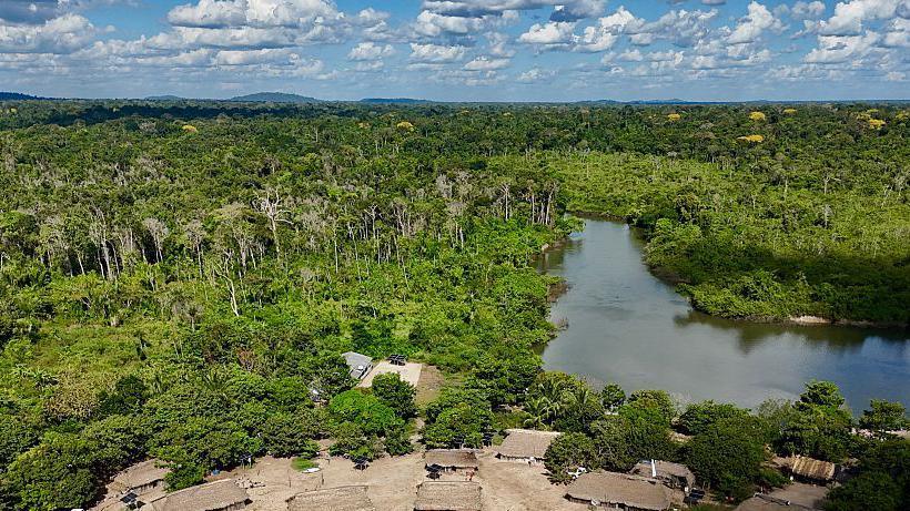 Brazil’s Amazon Airs a Sharp Drop in 2025 Burned Area