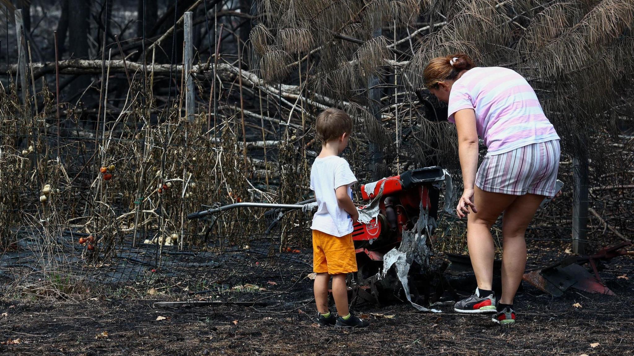 Wildfire in France Exposes 400 WWII Munitions in Le Porge