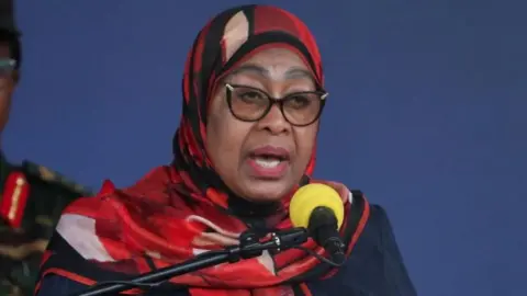 Tanzania's President Acknowledges Election Violence Dimming Nation's Image