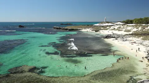 Fatal Shark Attack in Western Australia: A Tragic Incident