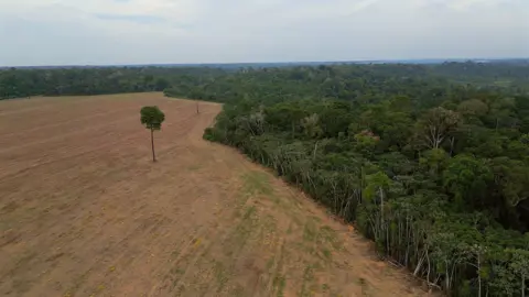 Fate of Brazil's Amazon Rainforest Hangs in the Balance as Key Protection Faces Threats