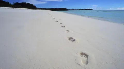 Assumption Island: A Pivotal Issue in Seychelles' Presidential Elections