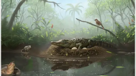 Ancient 'Drop Crocs': Discovery of 55-Million-Year-Old Crocodile Eggshells in Australia