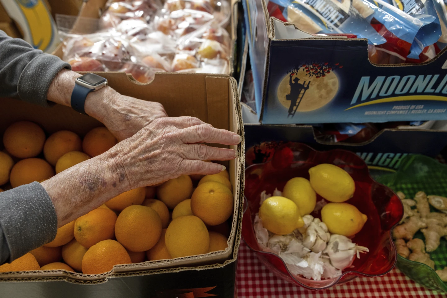 US Government Cancels Hunger Report Amidst Welfare Cuts