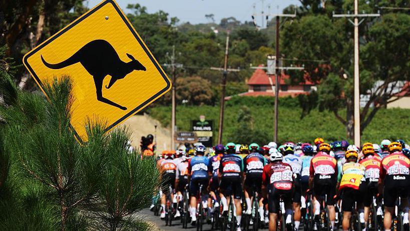 Jay Vine Triumphs in Tour Down Under Amid Kangaroo Incident