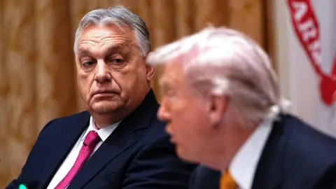 Analyzing Hungary's Gains and Losses Following Orban's Meeting with Trump