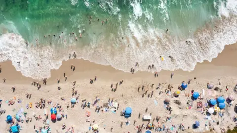 Unprecedented Marine Heatwave Wreaks Havoc in the North Pacific