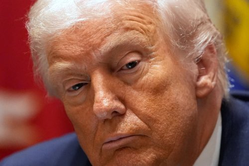 Trump's Immigration Crackdown Linked to Fraud Cases in Minnesota's Somali Community