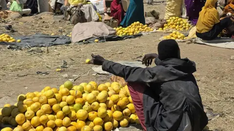 Amidst War, Jebel Marra's Bounty Goes to Waste