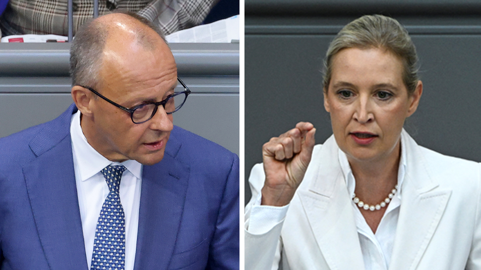 Merz Challenges AfD’s Rise, Calls Party a "Destructive Force" in Bundestag