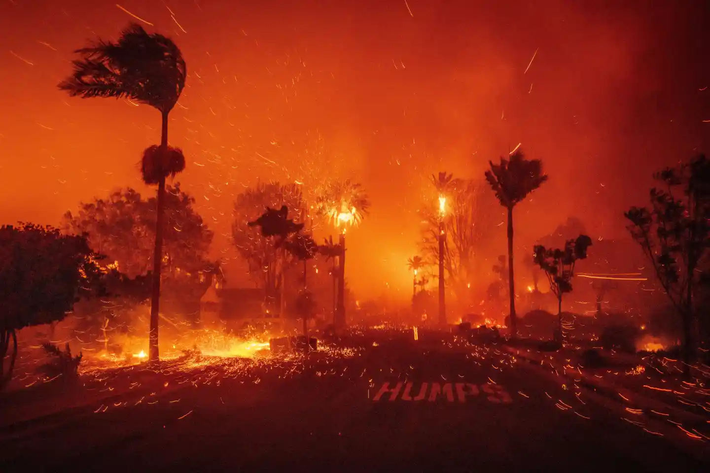One Year Later: The Aftermath of Los Angeles' Twin Wildfires