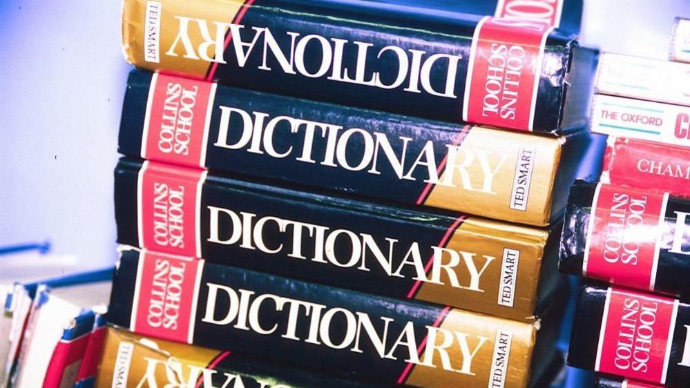 'Maxxing' Wins Dictionary.com Word of the Year 2026